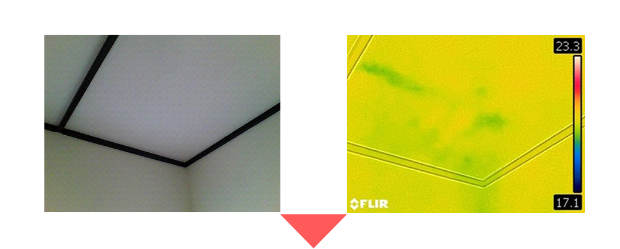 �V��ւ̔�Q�󋵂̉摜�@