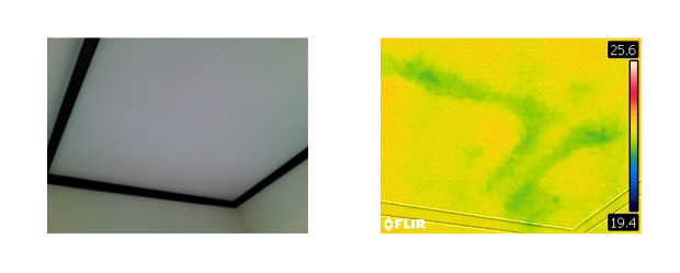 �V��ւ̔�Q�󋵂̉摜�A